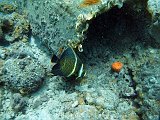 Curacao 04-12 224